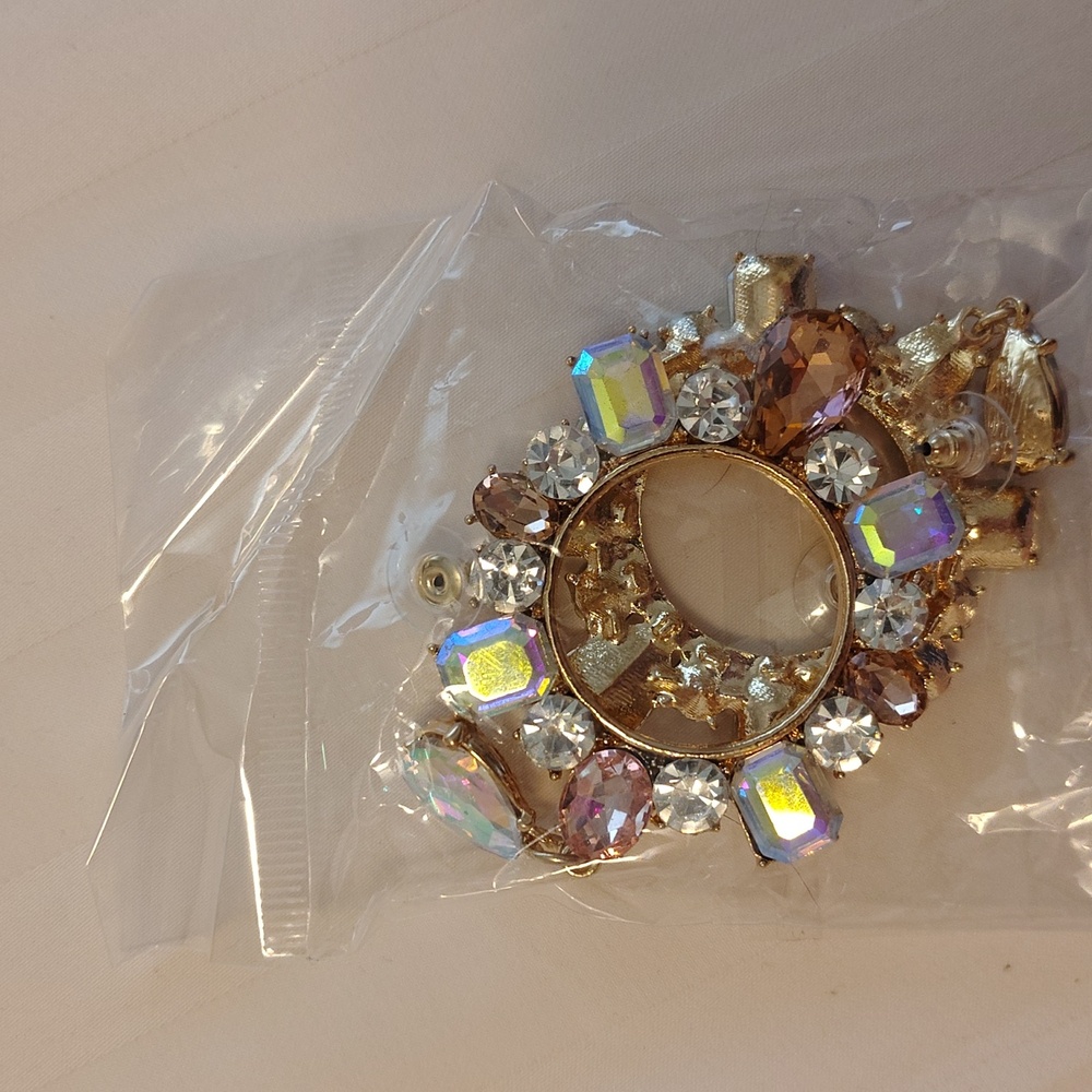 NWOT Fashion Earrings